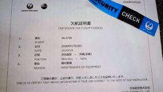 これをカラ出張というのか(笑) ～船底塗料が頬をしたる～ - シー