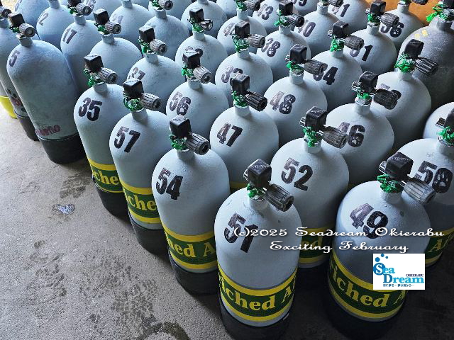 画像に alt 属性が指定されていません。ファイル名: eadblog225d.jpg