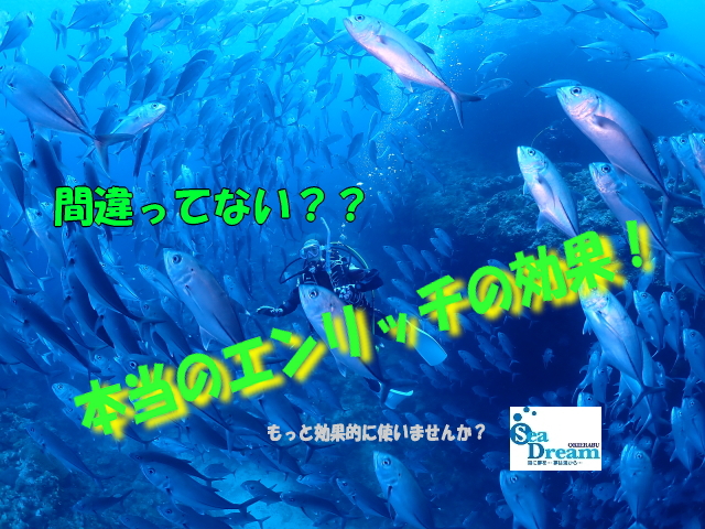 画像に alt 属性が指定されていません。ファイル名: 333bcbad960d39dab401146d6fd00a42.jpg